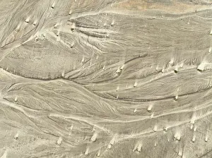 Thomas Dressler: Sand hummocks caused by dwarf shrubs
