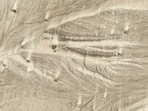 Thomas Dressler: Sand hummocks caused by dwarf shrubs