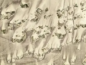 Thomas Dressler: Sand hummocks caused by dwarf shrubs