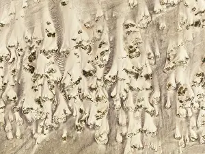 Thomas Dressler: Sand hummocks caused by dwarf shrubs