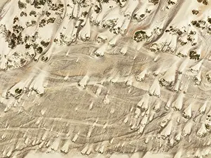Thomas Dressler: Sand hummocks caused by dwarf shrubs
