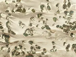 Thomas Dressler: Sand hummocks caused by dwarf shrubs