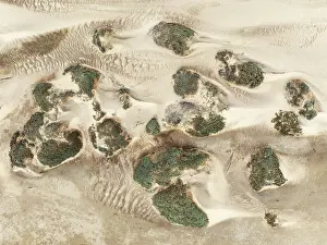 Thomas Dressler: Sand hummocks caused by dwarf shrubs
