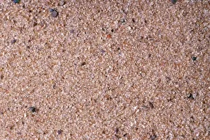 Grains: Sand from the Mohave Desert