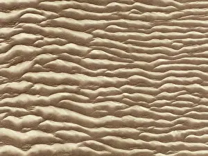Thomas Dressler: Sand patterns in the Namib Desert