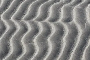 190219: Sand patterns, structure on mud flats - National