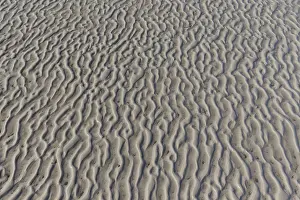 190219: Sand patterns, structure on mud flats - National