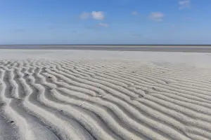 190219: Sand patterns, structure on mud flats - National