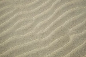 Ripples: Sand Ripples