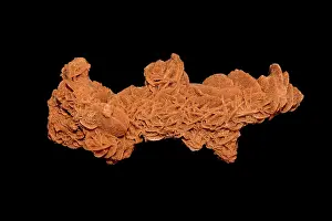 Selenite: Sand Selenite desert rose