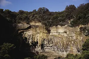 Concretions: Sand Stalactites in Australia