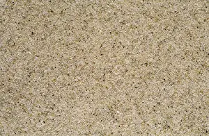 Grains: Sand from Texas Beach