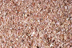 Particles: Sand