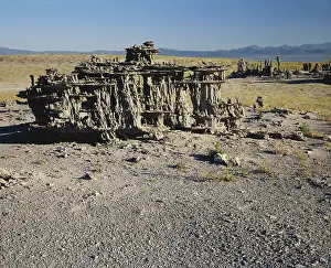 Differential: Sand Tufa at Mono Lake