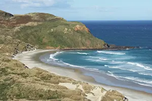 Sandfly: Sandfly Bay, Otago Peninsula, Dunedin, Otago