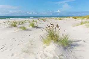 Silence: Sandhammaren