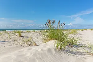 Silence: Sandhammaren
