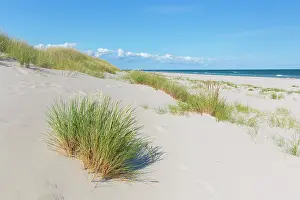 Silence: Sandhammaren