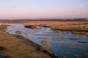 Platte: Sandhill Cranes - roosting along Platte River in