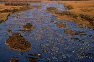 Platte: Sandhill Cranes - roosting along Platte River in