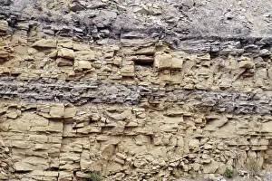 Strata: Sandstone and Mudstone Strata