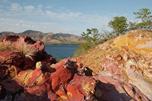 Manganese: Sandstone - pink with oxydation & minerals including