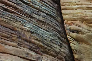 Zion: Sandstone Wall