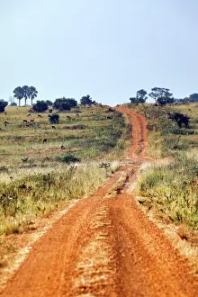 Uganda: Sandstraie durch den Murchison Falls National Park Uganda