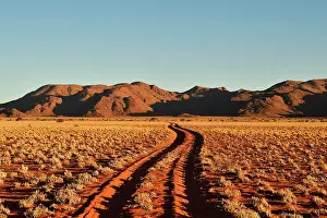 Dirt: Sandtrack through desert landscape at evening light