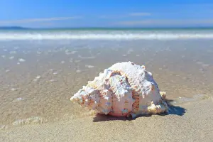 Sutherland: Sandy beach beach on the coast, Scotland, Great
