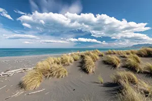 Kaikoura: Sandy beach beach with grass near Kaikoura, Canterbury