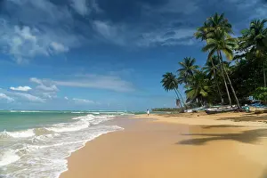 Palmae: Sandy beach with palm trees in Las Terrenas, Samana