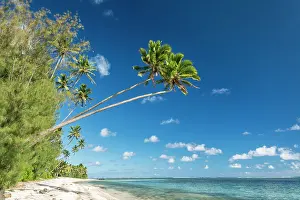 Rarotonga: Sandy beach with palm trees and turquoise water