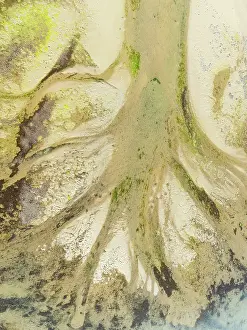 Tide: Sandy deposits, channels and streams at low tide