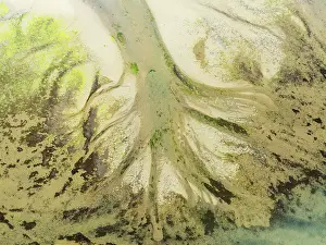 Tide: Sandy deposits, channels and streams at low tide