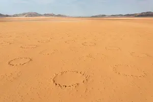 Fairy: Sandy desert plain with so-called Fairy Circles, circular pa