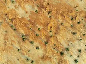 Tsondab Valley: Sandy desert plain with sparse vegetation