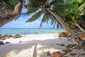 Destinations: Sandy dream beach of Anse Baleine, Mahe Island