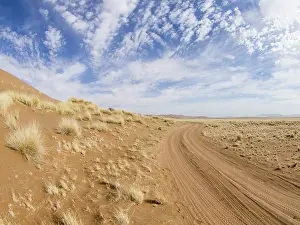 Namibrand: Sandy road running through dune landscape