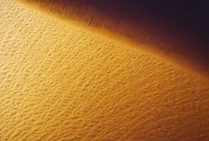 Endorheic: The sandy shore of a freshwater marsh - aerial view