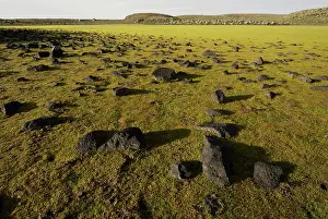 Michele Menegon: Sanetti Plateau