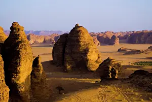 Oasis: Saudi Arabia, Al Ula, desert near the oasis