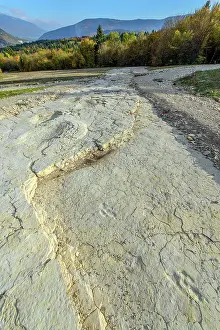 Clay: Sauropod footprints in Plagne in the Jura, Ain