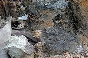Nightjar: Savanna Nightjar Chick