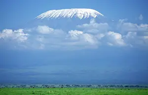 Kilimanjaro: Savannah near Kilimandjaro Mountain, Tanzania, Africa
