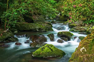 Flowing: Savegre River in San Gerardo de Dota, San Jose Province