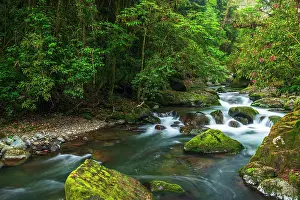 Flowing: Savegre River in San Gerardo de Dota, San Jose Province