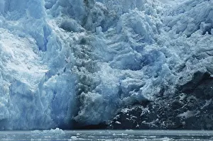 Terror: Sawyer Glacier