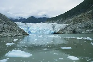 Terror: Sawyer Glacier