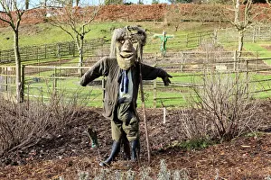 Painswick: Scarecrow